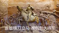 参观彭德怀纪念馆，彭老总的革命历程资料非常详实，看完心潮澎湃