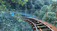 千岛湖森林氧吧景区下山滑道