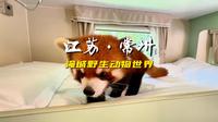 江苏淹城野生动物世界