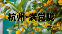 杭州满觉陇，用上百年的构件组成的建筑
