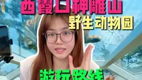 西霞口神雕山动物园会惩罚每一个不做攻略的人！