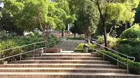 步行游览元朗公园宝塔美丽的自然。#唐加文#