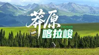 我给喀拉峻做了一次KPI考核：40公里自驾路线全评测