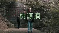 我差点没走出桃源洞