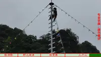 来紫云格凸河大河苗寨看上刀山表演
