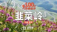 韭菜坪，海拔2900米，贵州最高峰，十万亩野生韭菜花，2024年8月25～9月10日最佳观赏期，花海、瀑布、密道、探洞……等待懂旅行的你～