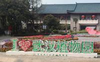 武汉植物园出行分享+游玩攻略