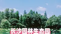 游长沙园林生态园，享受绿色阳光