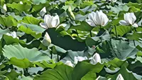 【生活记录】在舟山博物馆一日