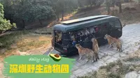 深圳野生动物园，一线城市的拉胯货，喜忧参半【穷鬼游】