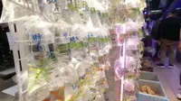 香港金鱼街随拍