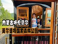 内蒙古呼伦贝尔（九）乘坐小火车穿越莫尔道嘎国家森林公园茫茫林海