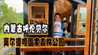内蒙古呼伦贝尔（九）乘坐小火车穿越莫尔道嘎国家森林公园茫茫林海