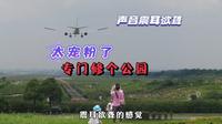打卡成都双流区空港花田公园，零距离感受飞机降落，太震撼了！