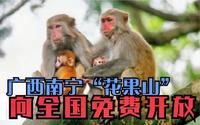 广西南宁隆安《龙虎山景区》我在广西自驾游！