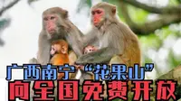广西南宁隆安《龙虎山景区》我在广西自驾游！
