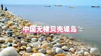中国无棣贝壳堤岛：大海遗留的珍宝，独一无二贝壳滩脊海岸