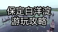 保定白洋淀游玩攻略：领略湿地奇妙，探寻自然之美！