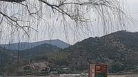 在宁波鸣鹤古镇门口拍白洋湖和山
