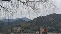 在宁波鸣鹤古镇门口拍白洋湖和山