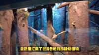 西安世博园景点介绍，西安世博园：一座活着的园林艺术史！