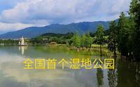 广东省肇庆市星湖湿地公园，里面有45只丹顶鹤还有火烈鸟等180余种鸟类，全国首个湿地公园是什么样子，一起来看看！