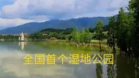 广东省肇庆市星湖湿地公园，里面有45只丹顶鹤还有火烈鸟等180余种鸟类，全国首个湿地公园是什么样子，一起来看看！