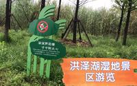 逛洪泽湖湿地五A级景区之盘点可圈可点部分