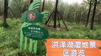 逛洪泽湖湿地五A级景区之盘点可圈可点部分