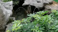 马尾船政文化主题公园