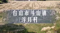 印象台山第三期∶斗山镇·浮月村