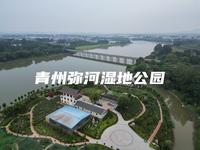 青州弥河湿地公园航拍