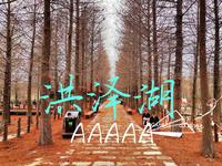 每周一个5A景区，第3站泗洪洪泽湖湿地景区