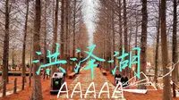 每周一个5A景区，第3站泗洪洪泽湖湿地景区