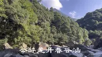 安徽黄山 芙蓉谷游记