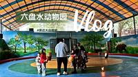 贵州 六盘水Vlog 六盘水动物园表演