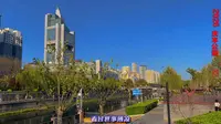 北京庆丰公园2026春光