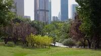 大望京公园