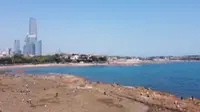 青岛 第二海水浴场 又称太平角海水浴场  航拍NO.24