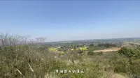 翠湖梨乡就像是老人一样被大家遗忘在成都南门外，适合徒步赏花游玩