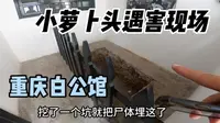 重庆白公馆曾经是小萝卜头遇害的现场，太感人了！