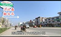 2000年 台灣節目鏡頭下的 河北省 衡水市 衡水三絶  金魚 毛筆 鼻菸壺