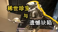 珍宝云集！全新开放的中国古动物馆值不值得去？【中国古动物馆-保定自然博物馆】