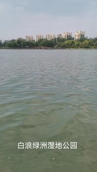 潍坊市白浪绿洲湿地公园