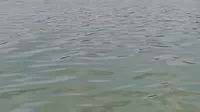 潍坊市白浪绿洲湿地公园