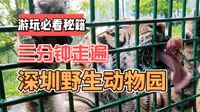 三分钟走遍深圳野生动物园！解压，不踩坑！