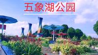 南宁五象湖公园，休闲散步好去处景美人少非常清静