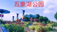 南宁五象湖公园，休闲散步好去处景美人少非常清静