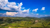 【4K HDR】岚县土豆花景区和白龙山景区