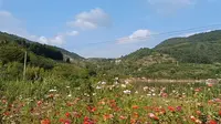 B站独家 | （路录 - 自驾）2024.10.17 湖南 - 郴州市·资兴市·白廊镇 · 白廊码头 ←→ 长盈头渡口